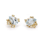 Aquamarine & Diamond Encrusted Studs