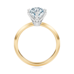 Broadway Solitaire Engagement Ring Setting